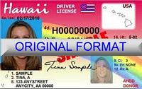 Hawaii Fake ID