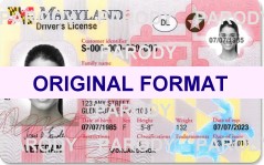 MARYLAND FAKE DRVIERS LICENSE, SCANNABLE FAKE MARYLAND DRIVERS LICENSE WITH HOLOGRAMS