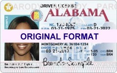 Alaska Scannable Fake ID's
