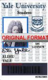 novelty id, novelty id card, driver license novelty YALE UNIVERSITY novelty id designer software custom university card